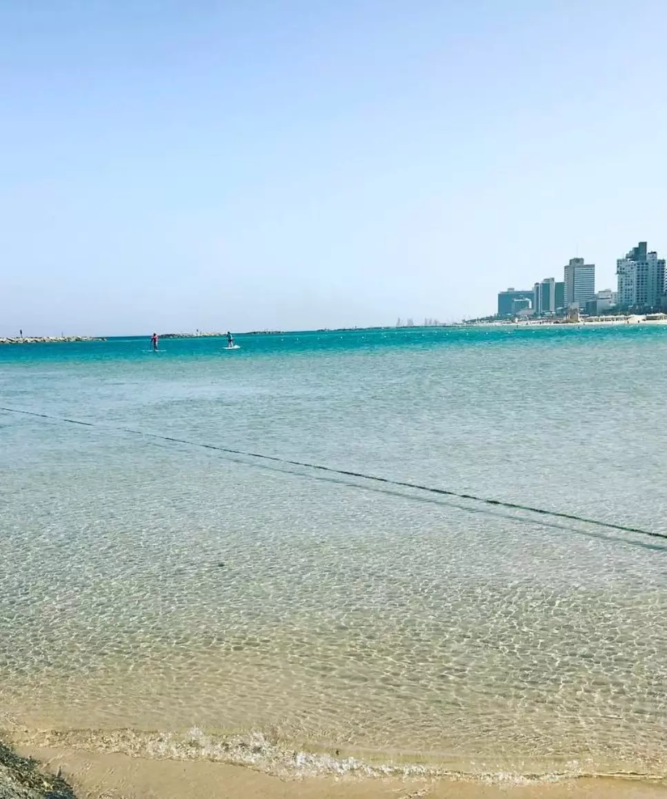 в центре,Рядом с морем,Эксклюзивный проект